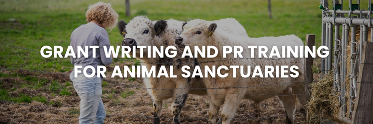 BONUS MASTERCLASSES - Better Life for Animals